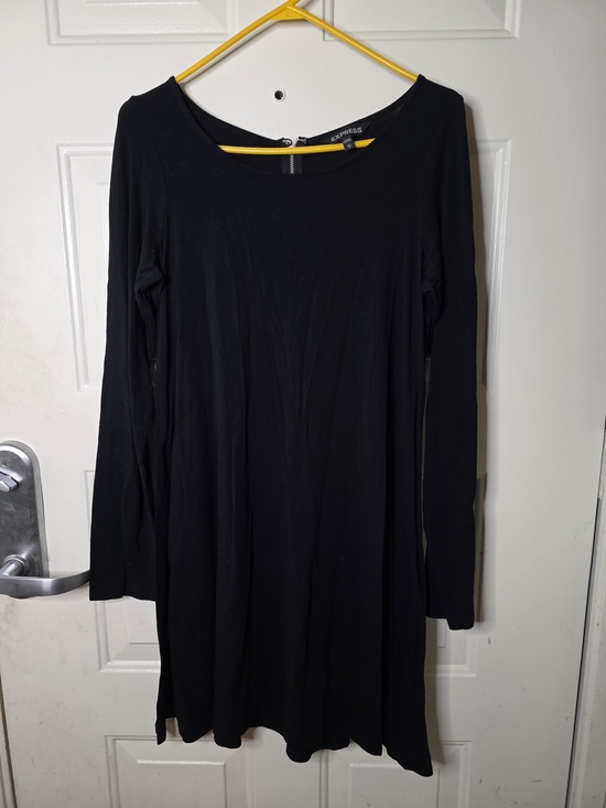 Express Dresses & Skirts - Express Black Long-Sleeve Swing Dress